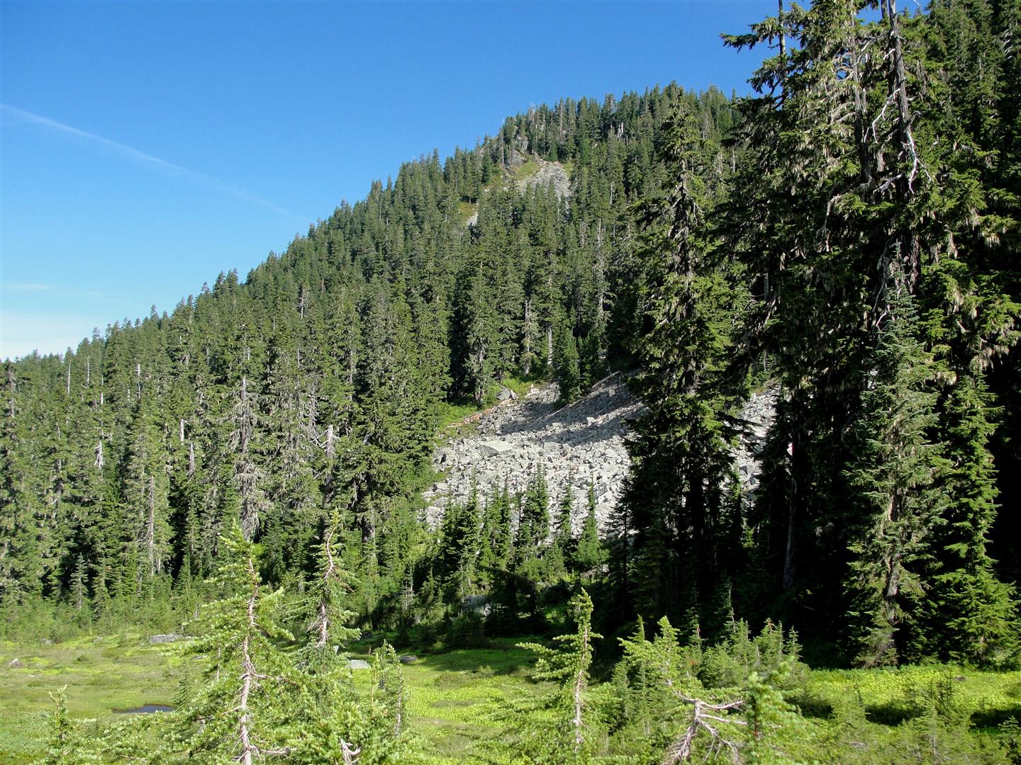 Anderson Butte — Washington Trails Association